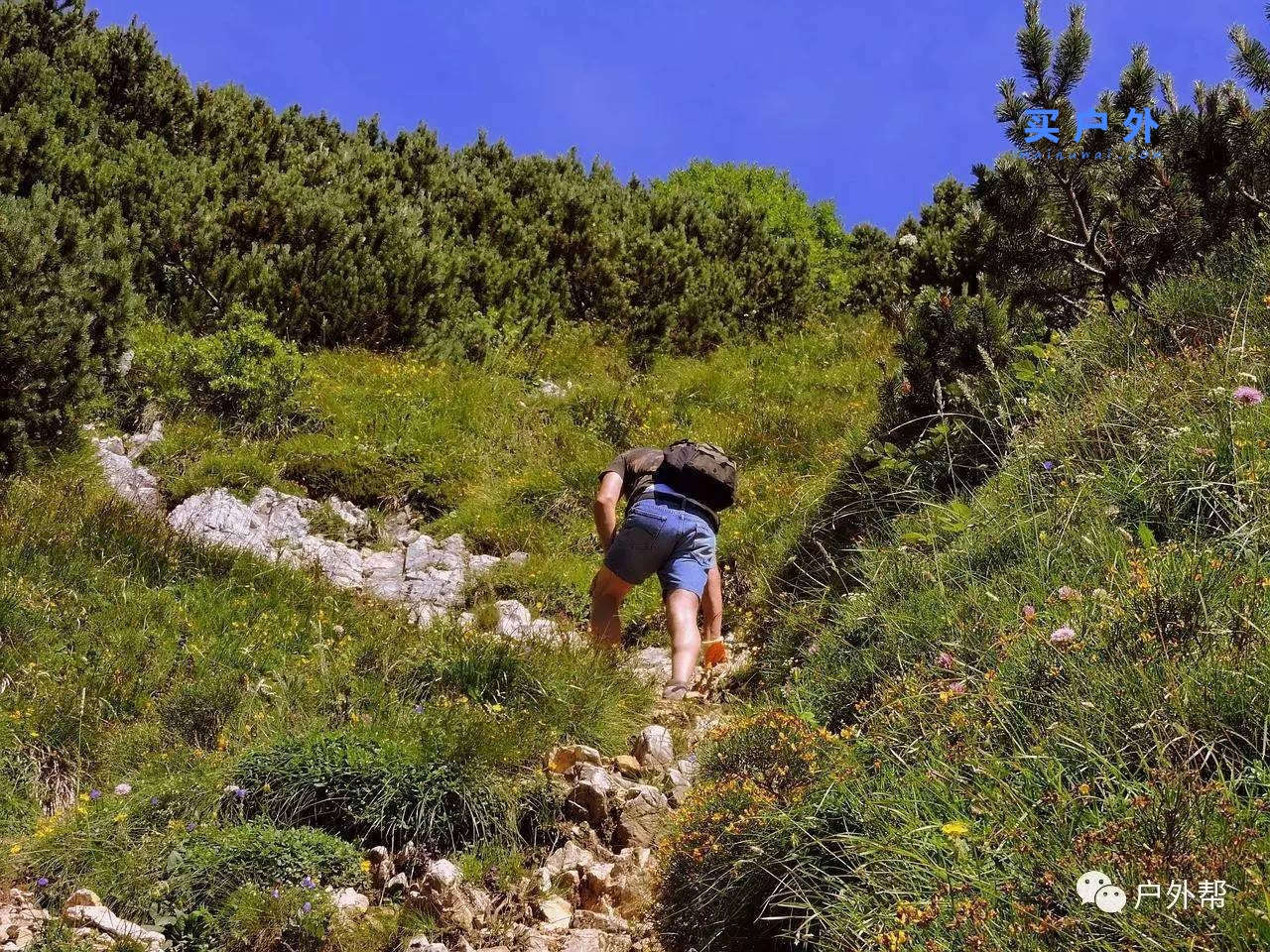 这几个户外登山步法对于新人来说很受用！