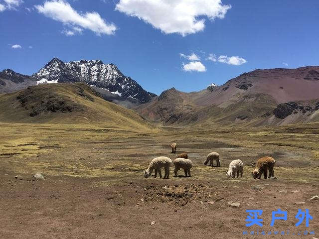 秘鲁彩虹山的登山经过和注意事项