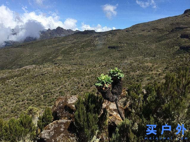 登上坦桑尼亚非洲第一高峰乞力马扎罗山之梦