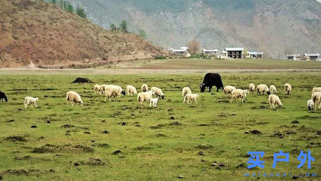 攀登云南哈巴雪山，圆自己一个雪山梦