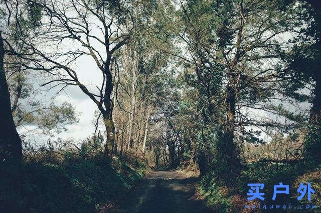 西班牙朝圣之路，走过风雪冰雨的蜜月旅行