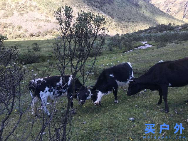 奔向秘鲁瓦斯卡兰国家公园，走一条人烟稀少的徒步登山路径