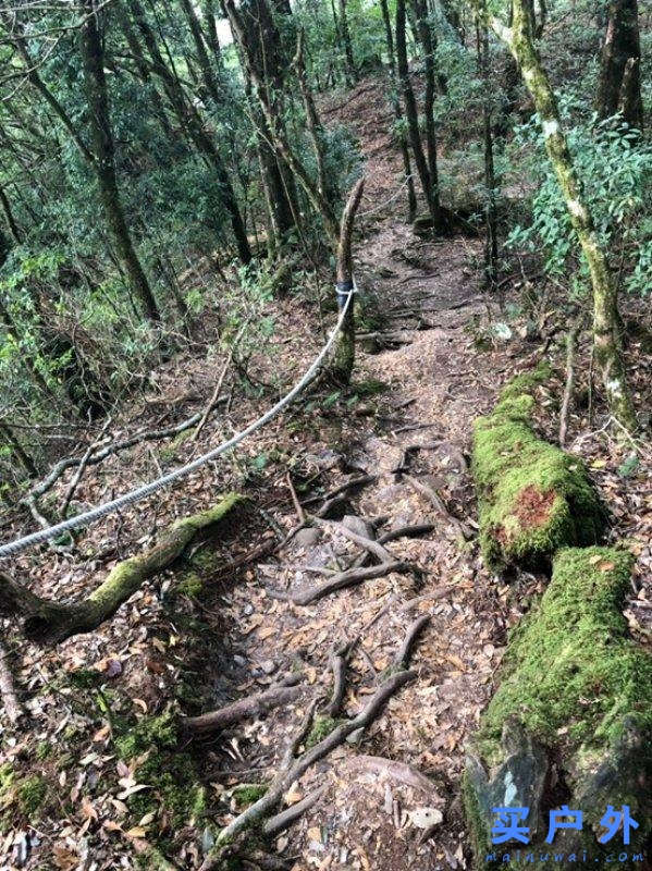 Salomon的登山鞋好在哪里?分享Salomon登山鞋实测心得