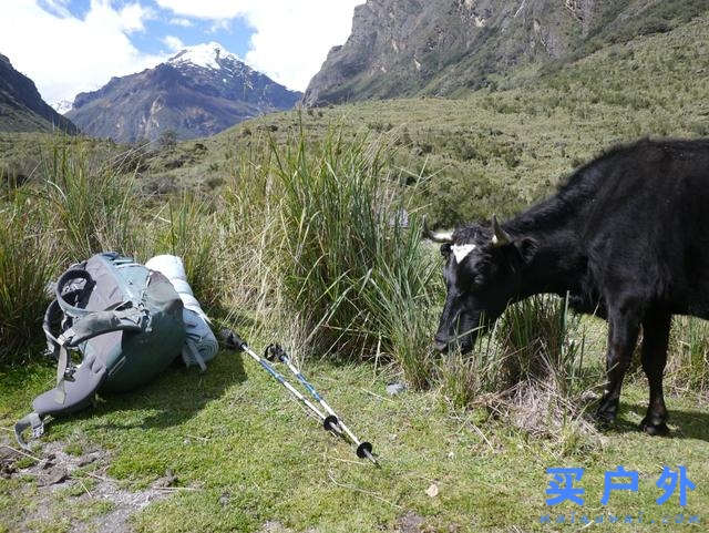 奔向秘鲁瓦斯卡兰国家公园，走一条人烟稀少的徒步登山路径