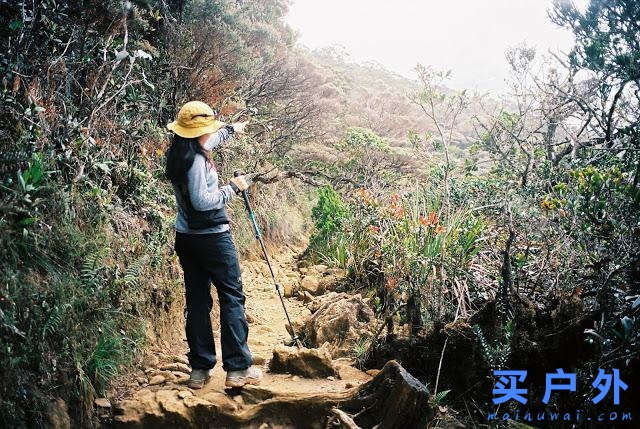 马来西亚京那巴鲁公园两天一夜，走在东南亚最高峰的路上