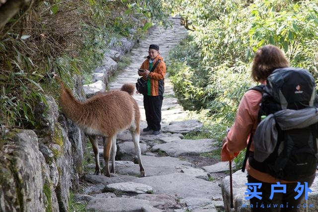 南美秘鲁旅行,在天空之城俯看整个马丘比丘