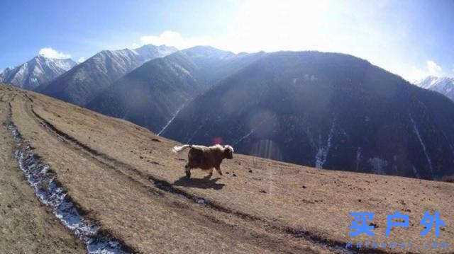 每一段户外旅程都值得纪念，四川四姑娘山大峰和二峰之行