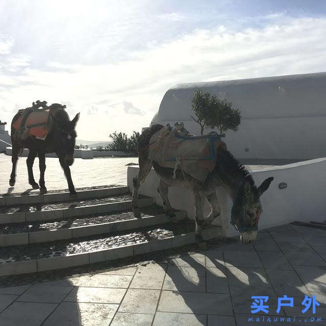 希腊圣托里尼,女生梦寐以求的旅行目的地