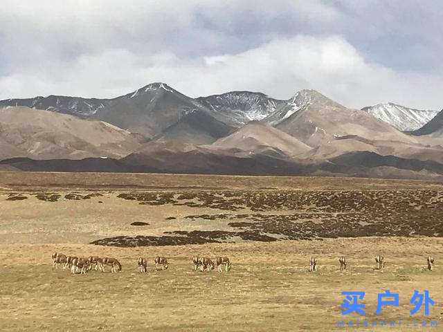 西藏旅行,一场最美的遇见