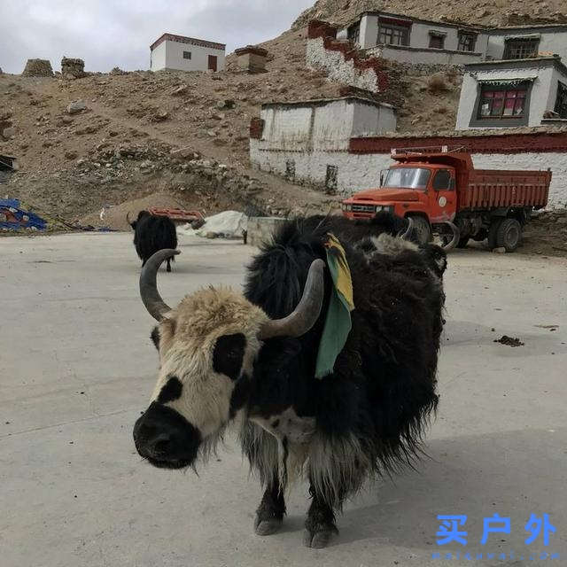 西藏旅行,一场最美的遇见