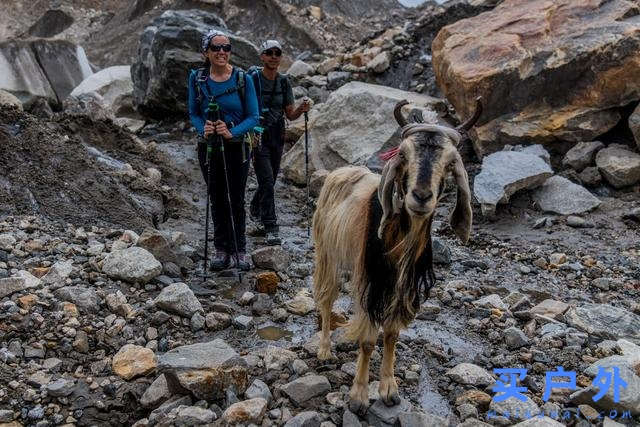 巴基斯坦乔戈里峰K2徒步路线的难度，你觉得我的能力能否走完？