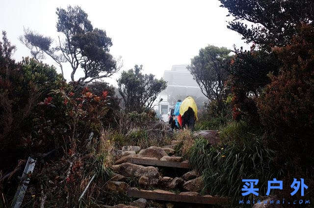 马来西亚京那巴鲁公园两天一夜，走在东南亚最高峰的路上