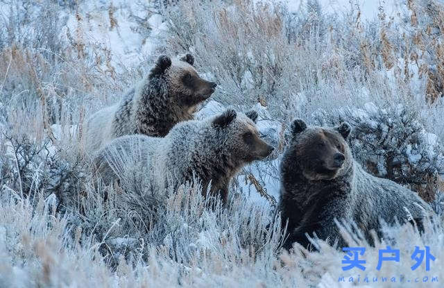 户外品牌Patagonia巴塔哥尼亚重新调整经营及品牌使命