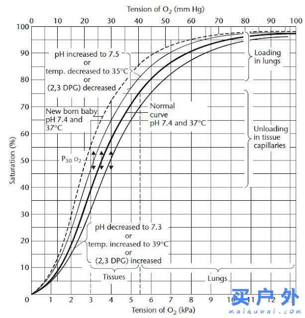 南美洲第一高峰记录，登顶南美之巅阿空加瓜峰