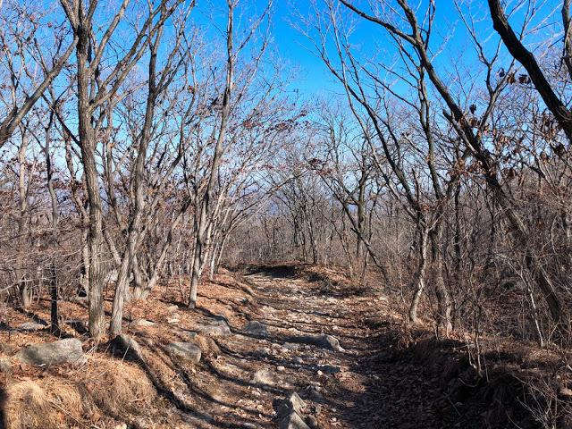 韩国人特别喜欢爬山,我就去爬了韩国釜山第一高山金井山姑堂峰