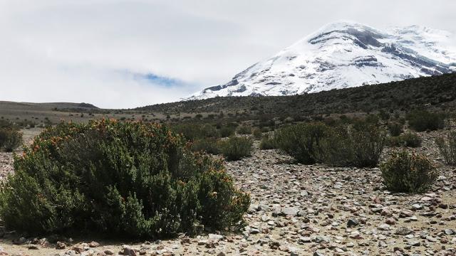 在南美洲厄瓜多尔钦博拉索火山上徒步，雪山比珠穆朗玛峰要高