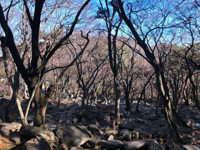 韩国人特别喜欢爬山,我就去爬了韩国釜山第一高山金井山姑堂峰