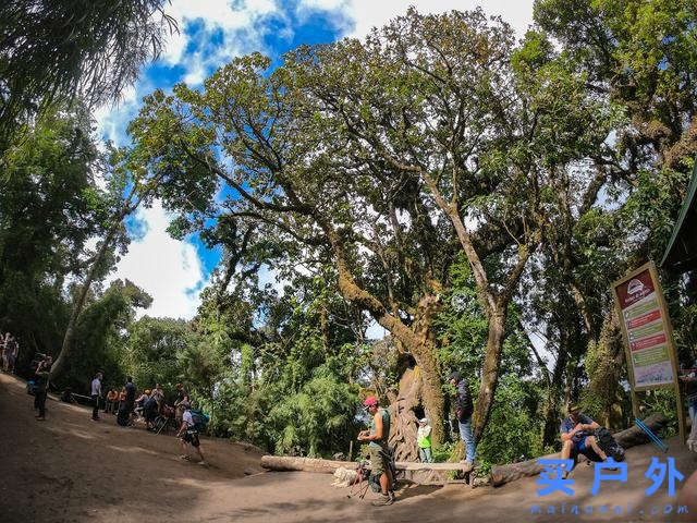 背着塔通卡TATONKA Yukon登山背包，出发去中美洲的火山徒步旅行