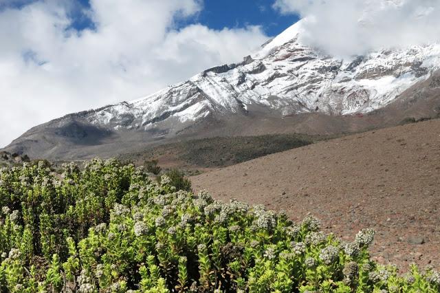 在南美洲厄瓜多尔钦博拉索火山上徒步，雪山比珠穆朗玛峰要高