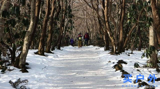 冬天爬韩国第一高峰，19.2公里雪登济州岛汉拿山！