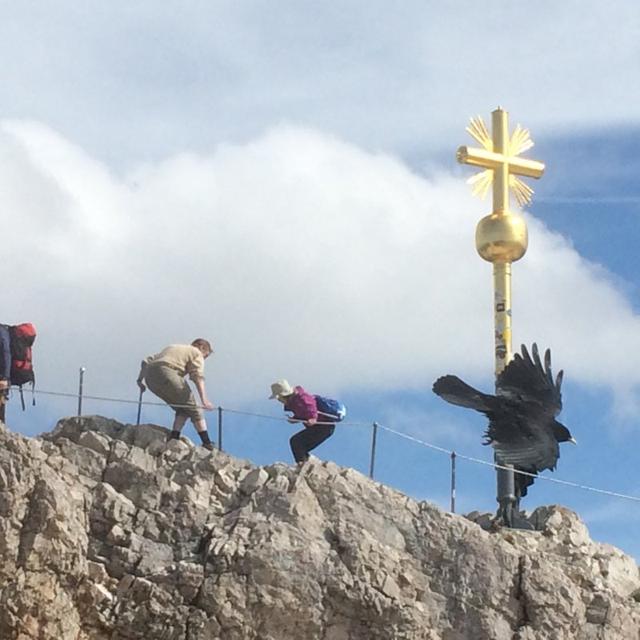 慕尼黑不只有啤酒节，德国最高峰楚格峰自助徒步旅行游记