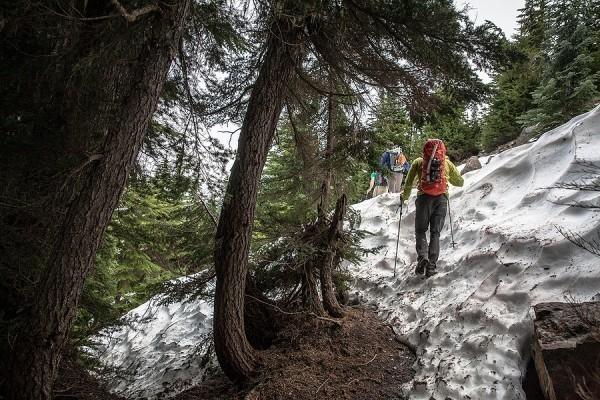 户外登山杖如何购买，最新登山杖全面介绍及选购指南