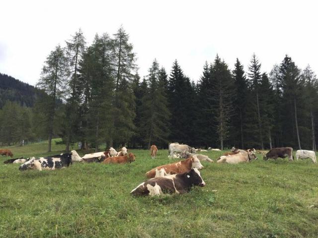 慕尼黑不只有啤酒节，德国最高峰楚格峰自助徒步旅行游记