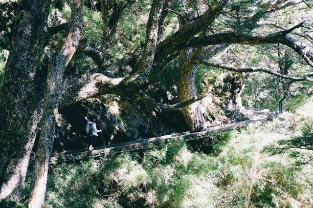 The North Face户外轻量防水登山鞋实测,翻山越岭全靠它