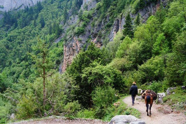 去甘南旅行度假,一路向西越远越美的风景