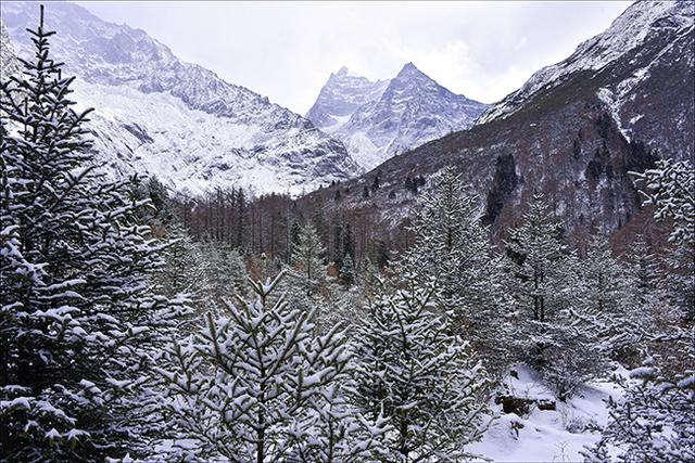 四姑娘山双桥沟，适合休闲旅游的人看风景