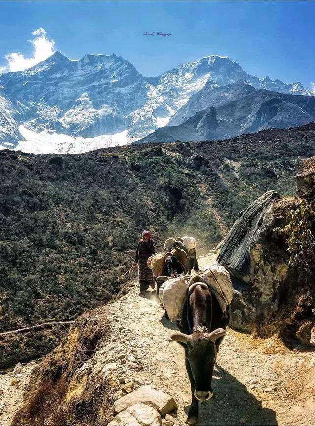 尼泊尔EBC经典小环线徒步，世界上最美的徒步路线之一