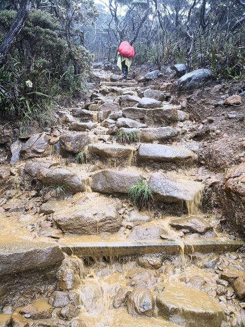 马来西亚沙巴神山攻略，挑战京那巴鲁山(Mt Kinabalu)