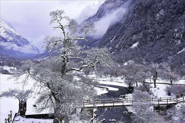 四姑娘山双桥沟，适合休闲旅游的人看风景