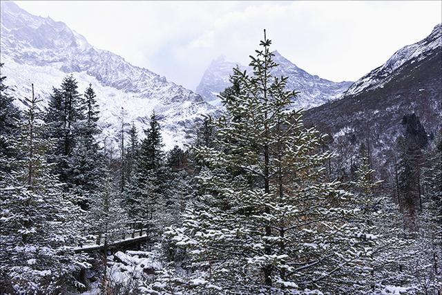 四姑娘山双桥沟，适合休闲旅游的人看风景