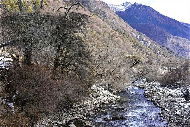 四姑娘山双桥沟，适合休闲旅游的人看风景