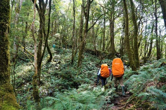 爬山除了穿登山鞋，还有人喜欢穿雨鞋