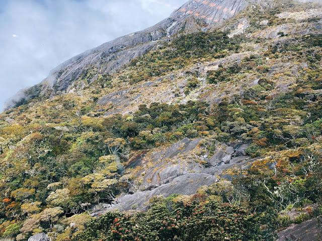 马来西亚沙巴神山攻略，挑战京那巴鲁山(Mt Kinabalu)