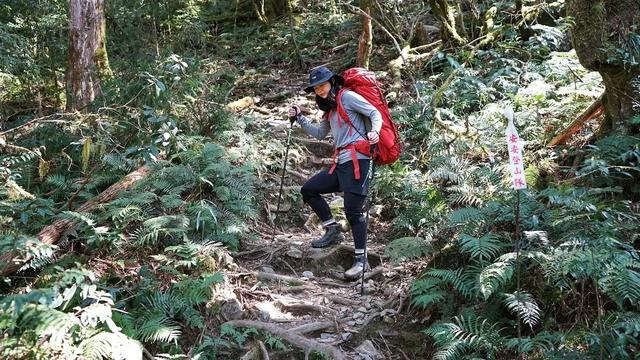 终于拥有了一对让自己很满意的登山杖，晒晒新入的Fizan登山杖