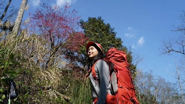 TATONKA塔通卡经典专业登山背包,户外探险的好伙伴