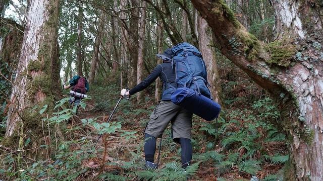 TATONKA塔通卡经典专业登山背包,户外探险的好伙伴