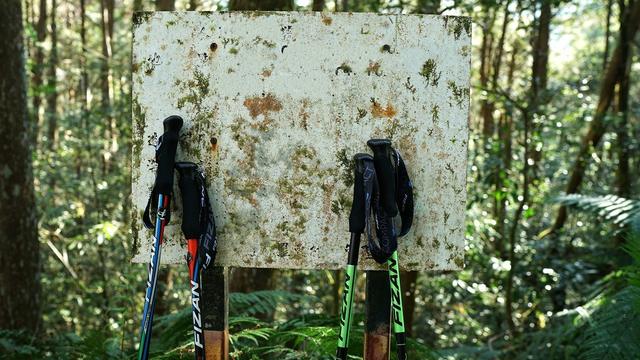 终于拥有了一对让自己很满意的登山杖，晒晒新入的Fizan登山杖