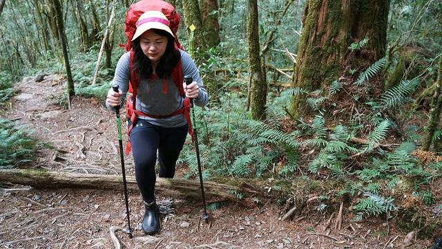 终于拥有了一对让自己很满意的登山杖，晒晒新入的Fizan登山杖