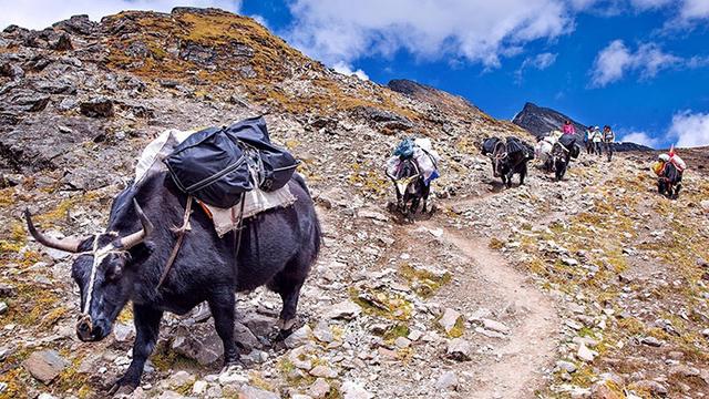 西藏自助游,珠峰大本营徒步攻略指南