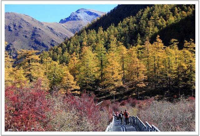 用脚步丈量四川稻城亚丁的美丽,仙乃日雪山转山攻略