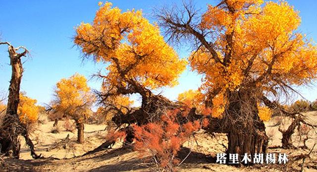 新疆旅游,向你推荐南疆自助旅行不可错过的景点和自由行路线