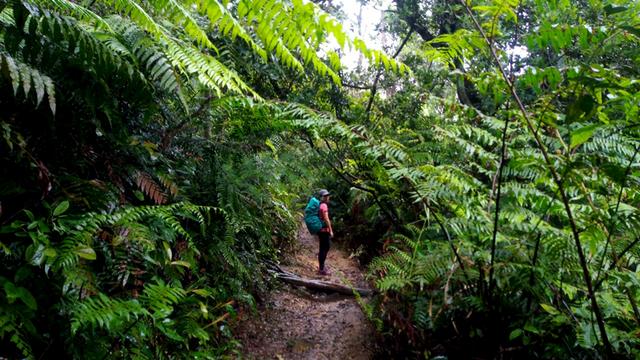 格里高利Gregory背包实测,日常通勤和户外登山的好伴侣