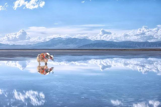 人人都要去一次的六大“天空之镜”,中国的茶卡盐湖