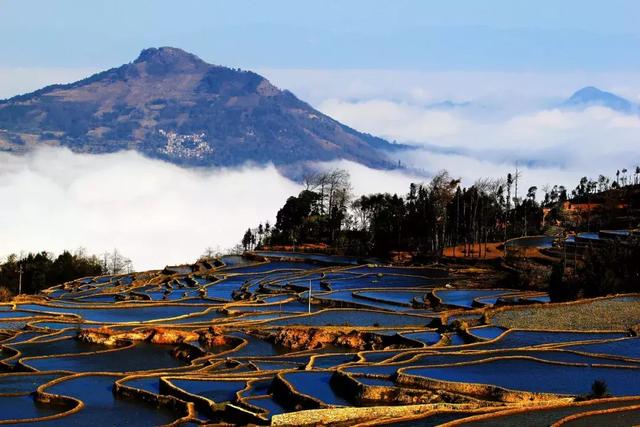 自驾游去哪玩？这7条国内自驾线路每条都是一路美景