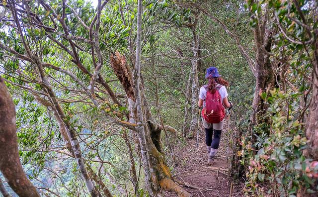 Komperdell登山杖实测,一件登山时的好装备