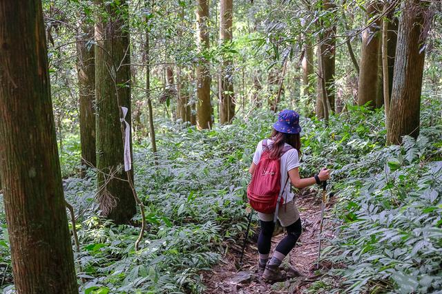 Komperdell登山杖实测,一件登山时的好装备